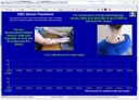 REPETITIVE STRAIN INJURY (RSI) SUITE [BFE]