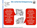 Sensomotorik/Reflexologie Themenkurs: Die verlernte Entspannung (Aufzeichnung)