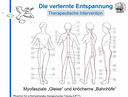 Sensomotorik/Reflexologie Themenkurs: Die verlernte Entspannung (Aufzeichnung)