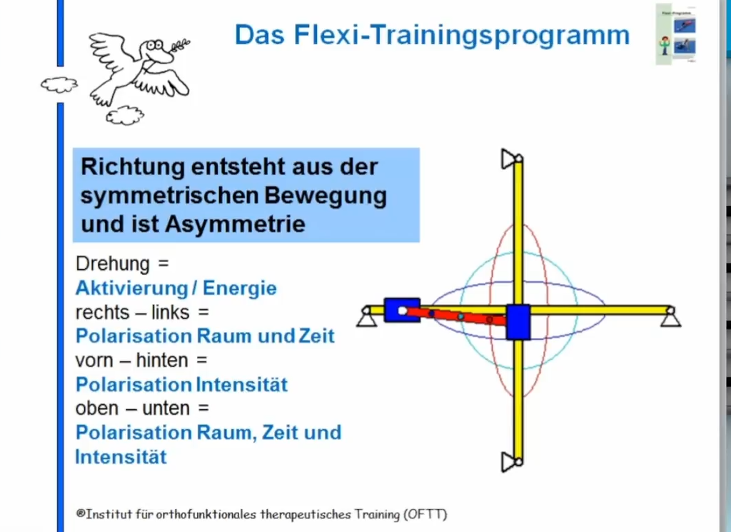 Sensomotorik/Reflexologie Themenkurs: Flexi (eLearning)