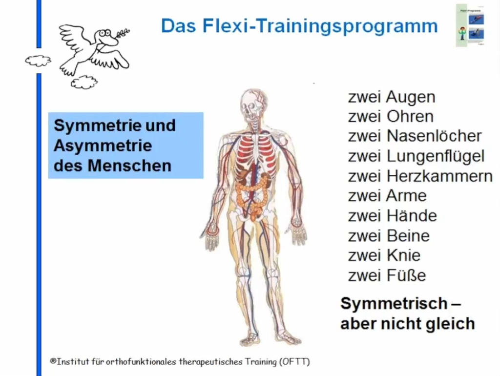 Sensomotorik/Reflexologie Themenkurs: Flexi (eLearning)