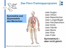 Sensomotorik/Reflexologie Themenkurs: Flexi (eLearning)