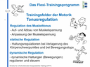Sensomotorik/Reflexologie Themenkurs: Flexi (eLearning)