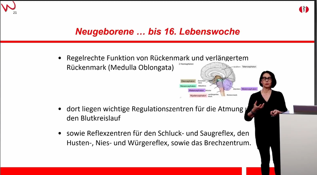 Warnke-Verfahren Themenkurs: Bewegen – Hören – Sehen – Lernen – Sprache (Aufzeichnung)