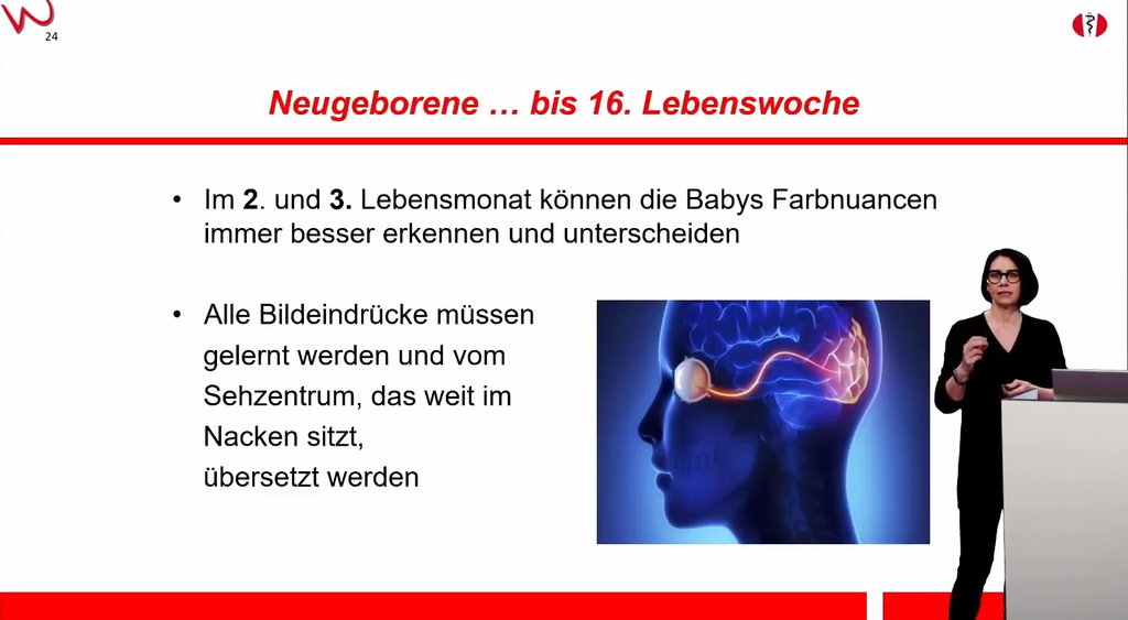 Warnke-Verfahren Themenkurs: Bewegen – Hören – Sehen – Lernen – Sprache (Aufzeichnung)