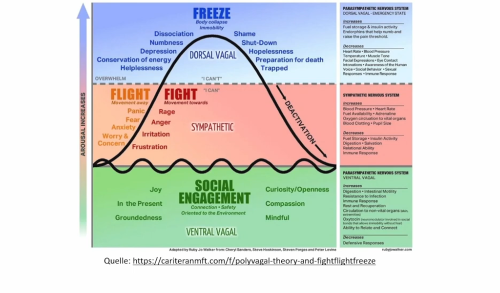 Biofeedback Themenkurs - Biofeedback bei Kindern: Spezialbereich Psychosomatik