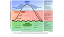 Biofeedback Themenkurs - Biofeedback bei Kindern: Spezialbereich Psychosomatik