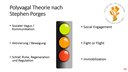 [Webcast] Online-Seminar "Die Polyvagaltheorie nach Porges" von Dr. Ingrid Pirker-Binder