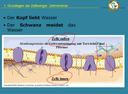 Webcast 21-06 Bio-/Neurofeedback - "(Neuronales) Bahnen / Nachbahnen: Ein Thema, das allen auf die Nerven geht"