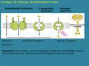 Webcast 21-06 Bio-/Neurofeedback - "(Neuronales) Bahnen / Nachbahnen: Ein Thema, das allen auf die Nerven geht"