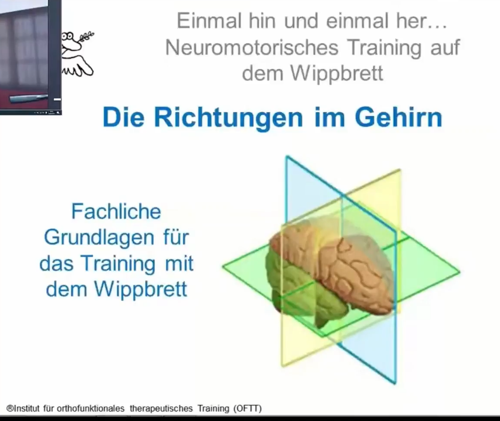 Sensomotorik-Themenkurs: Einmal hin und einmal her, rundherum das ist … Neuromotorisches Training auf dem Wippbrett (eLearning)