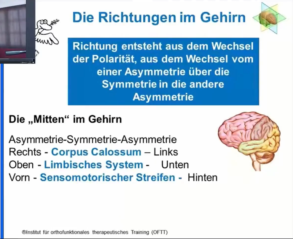 Sensomotorik-Themenkurs: Einmal hin und einmal her, rundherum das ist … Neuromotorisches Training auf dem Wippbrett (eLearning)