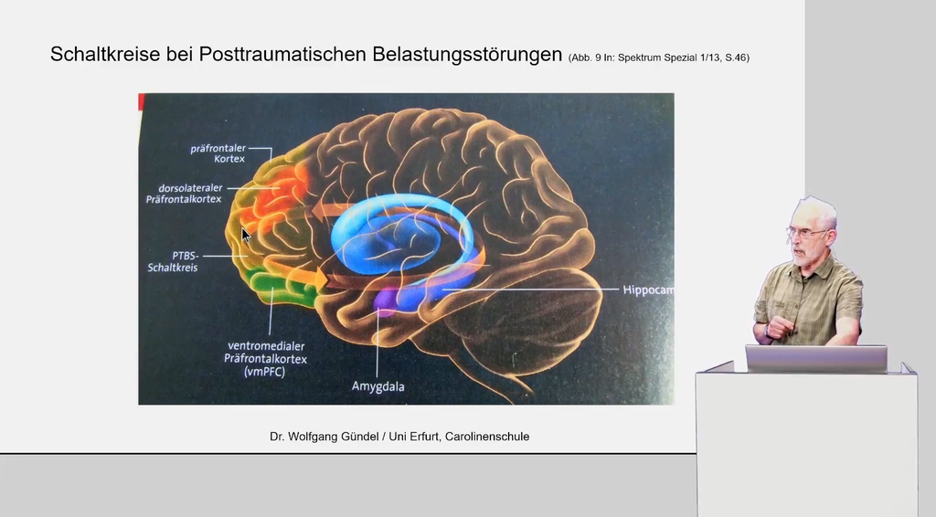 Sensomotorik und Reflexologie Grundkurs: Persistierende frühkindliche Reaktionen (eLearning)