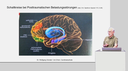 Sensomotorik und Reflexologie Grundkurs: Persistierende frühkindliche Reaktionen (eLearning)