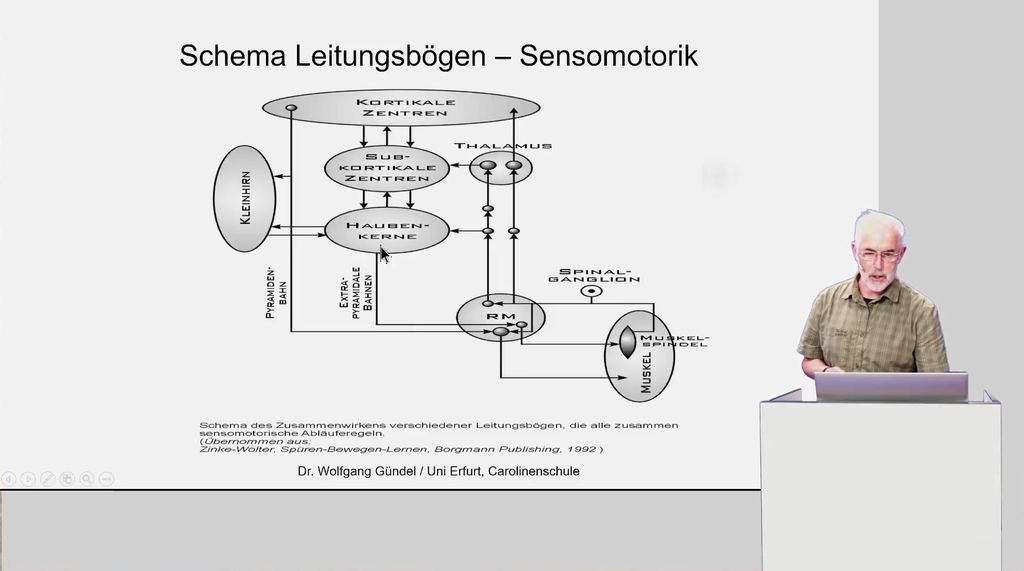 Sensomotorik und Reflexologie Grundkurs: Persistierende frühkindliche Reaktionen (eLearning)
