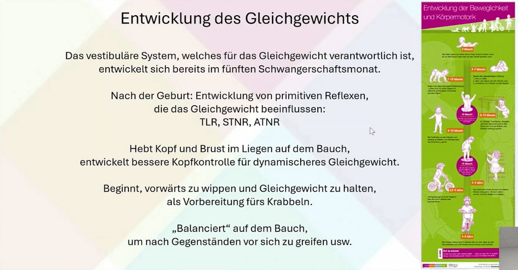 Fachkongress-Vortrag: 2024 V4-1 - Tabitha Jandl: "Gleichgewichtstraining für Klein und Groß – Erfahrungen aus der therapeutischen Praxis" (deutsch)