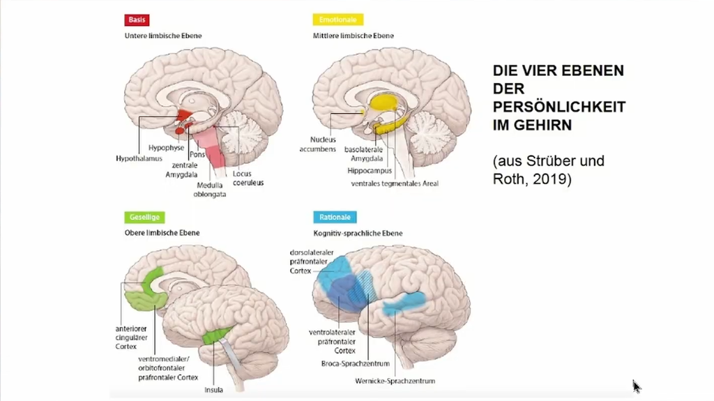 Fachkongress-Vortrag: 2024 V3-1 - Freddy Potschka:  "Auf einer Wellenlänge– neurobiologische Grundlagen der Therapeutischen Beziehung" (deutsch)