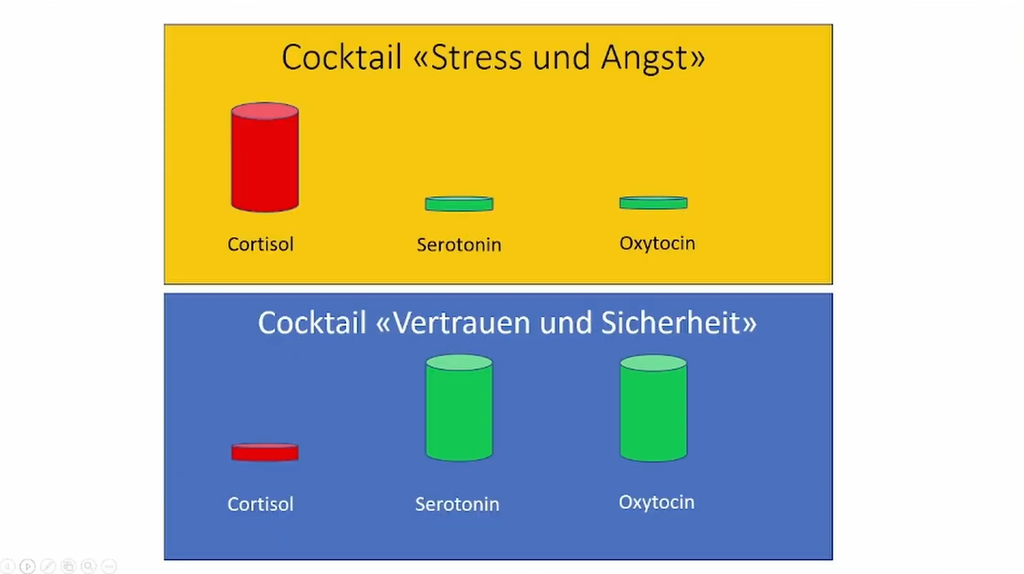 Fachkongress-Vortrag: 2024 V3-1 - Freddy Potschka:  "Auf einer Wellenlänge– neurobiologische Grundlagen der Therapeutischen Beziehung" (deutsch)
