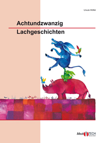 28 Lachgeschichten - Buch
