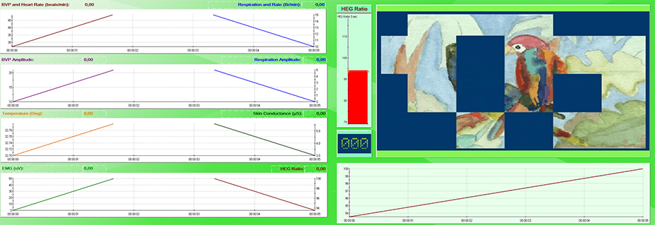 Neuro_Modul - HEG AVI-Bilder und Puzzle