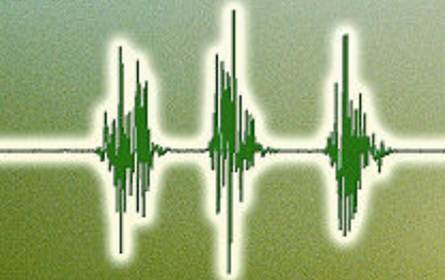 Voice Suite von Dr. Adam Kirkpatrick [BFE]
