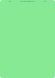 Color foil A4 &quot;Leaf&quot; (green) from Cerium
