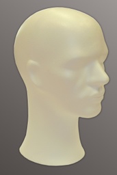 [8546] Styrofoam head