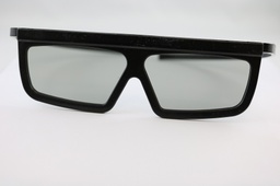 [8036] Polarisationsbrille